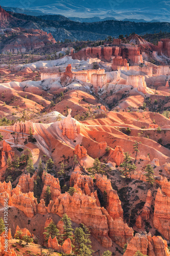 Scenic view of red sandstone hoodoos in Bryce Canyon National Park in Utah, USA