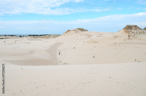 Obraz na płótnie Sand dunes in the Slowinski National Park in Poland w salonie