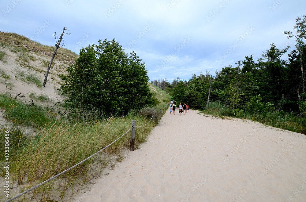 Sand dunes in the Slowinski National Park in Poland - obrazy, fototapety, plakaty 