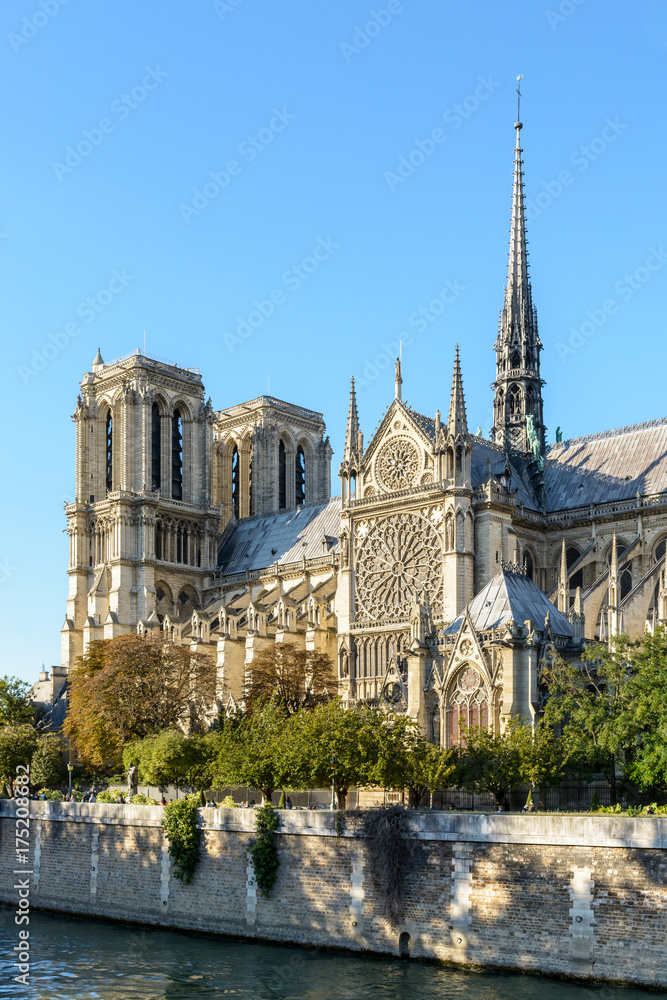 Three quarter view of the southern side of Notre-Dame de Paris cathedral by a sunny evening at the beginning of fall with the river Seine in the foreground.