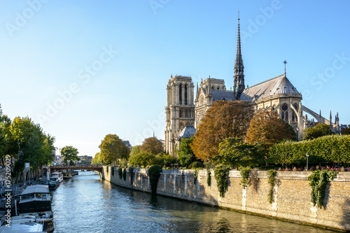 Three quarter rear view of Notre-Dame de Paris cathedral and the river Seine by a sunny evening at the beginning of fall.