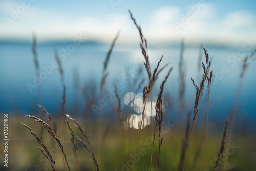 Canvastavla lake and grass