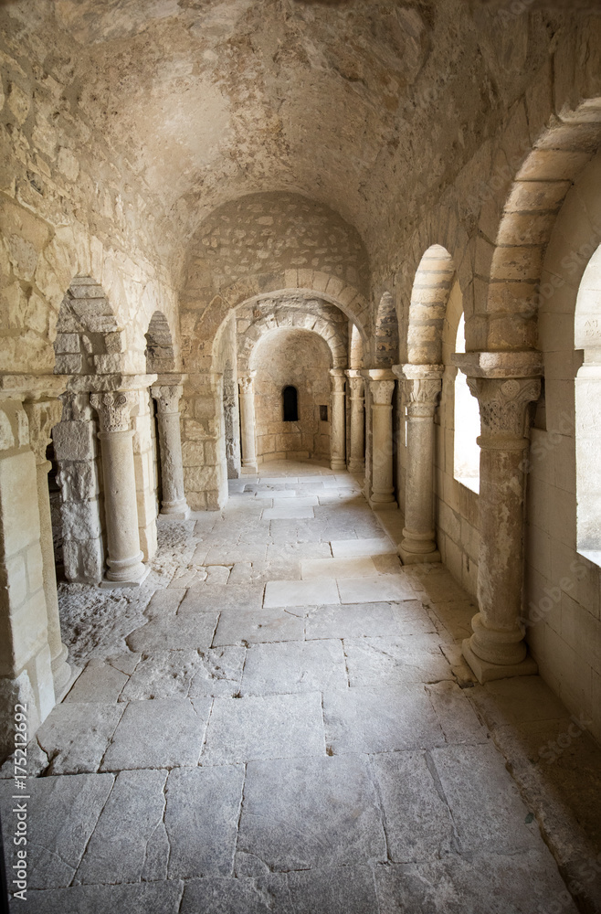 Romanesque Chapel of St. Peter in Montmajour  Abbey    near Arles, France