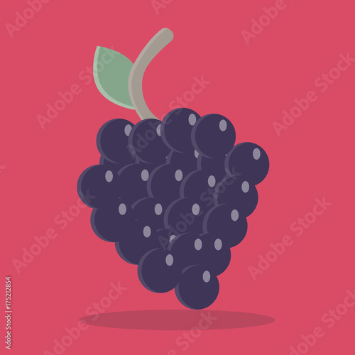 Weintrauben flat icon illustration