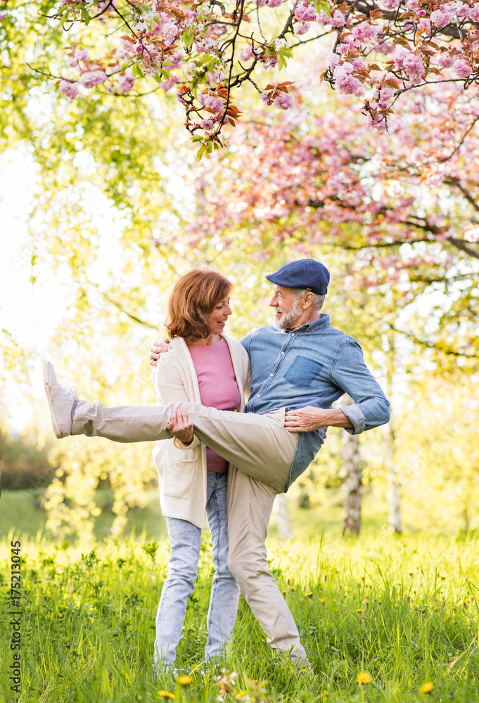 Fototapeta premium Beautiful senior couple in love outside in spring nature.