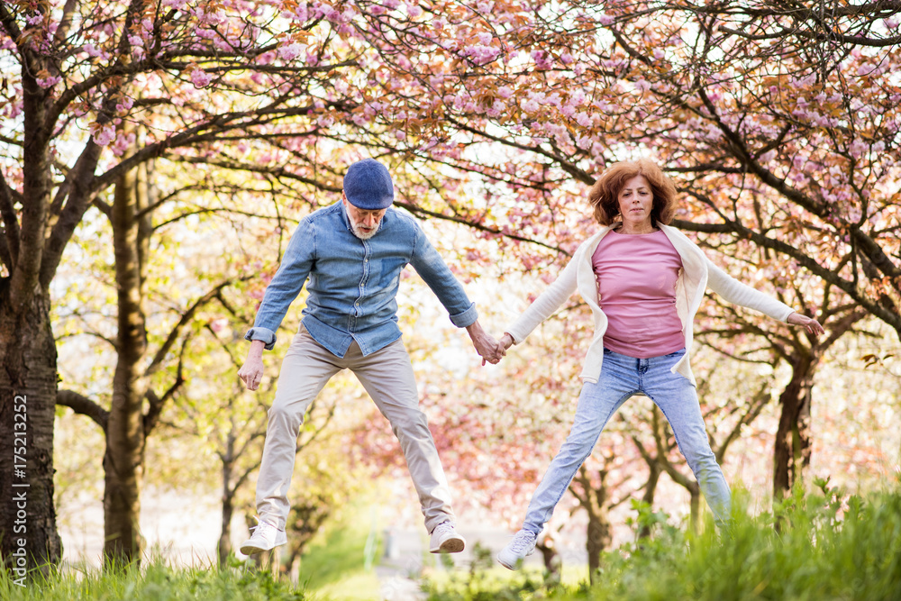 Beautiful senior couple in love outside in spring nature. Beautiful senior couple in love outside in spring nature.