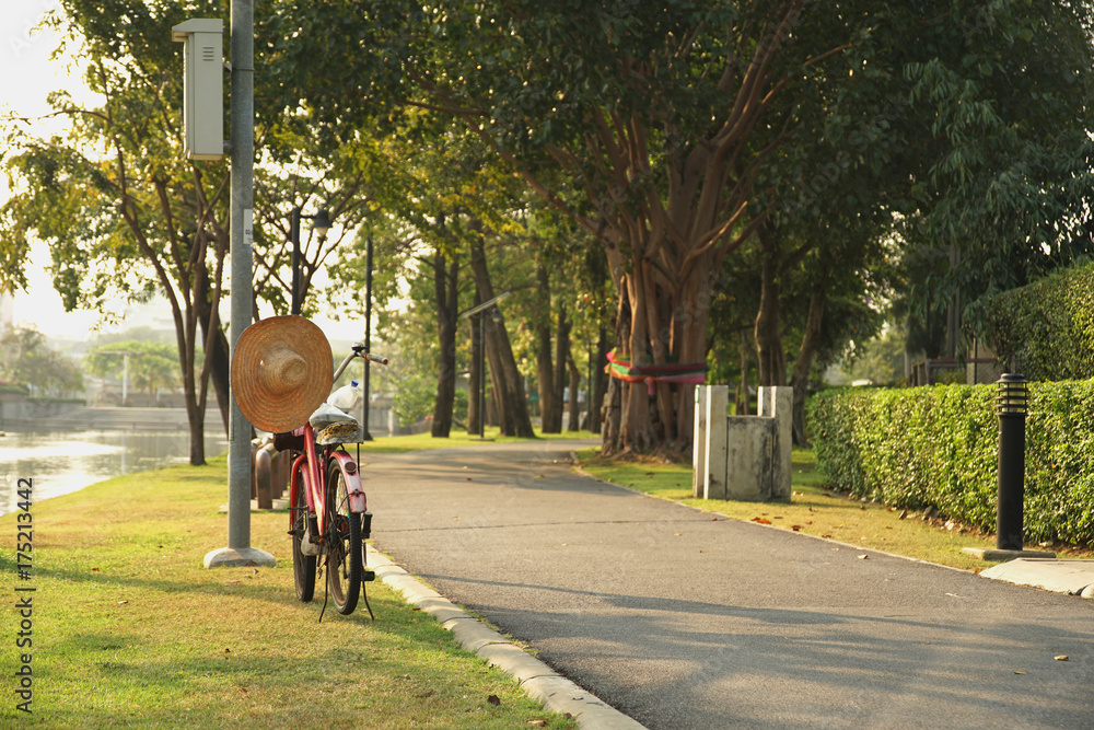 Fototapeta premium Bicycle in the park