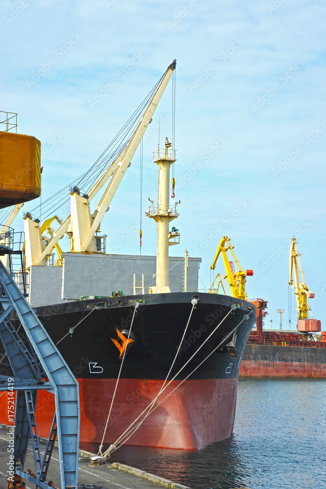 Fototapeta premium Bulk cargo ship under port crane