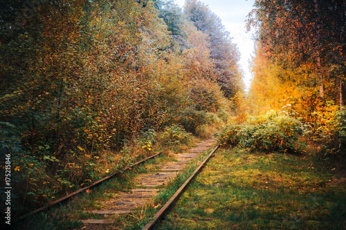 Abandoned railway in the fog going to perspective, golden leaves of the forest in the autumn, old railway
