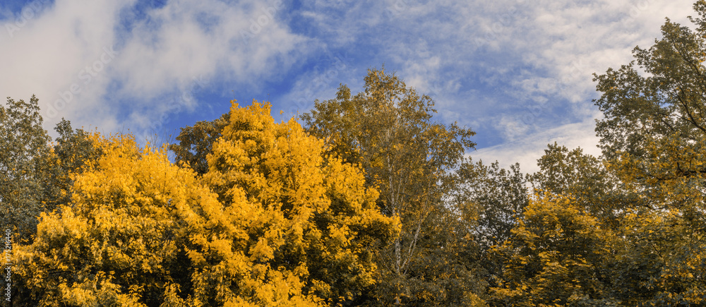 Herbstlandschaft Panorama