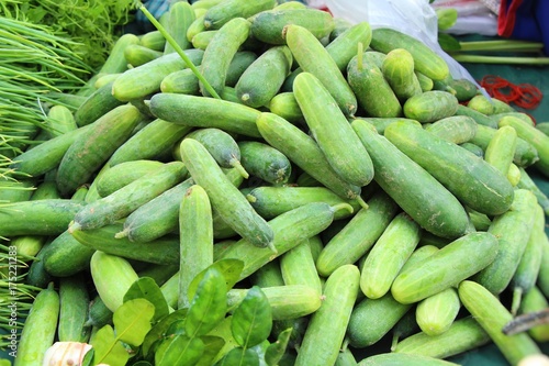 Fototapeta Naklejka Na Ścianę i Meble -  Fresh cucumbers for cooking in the market