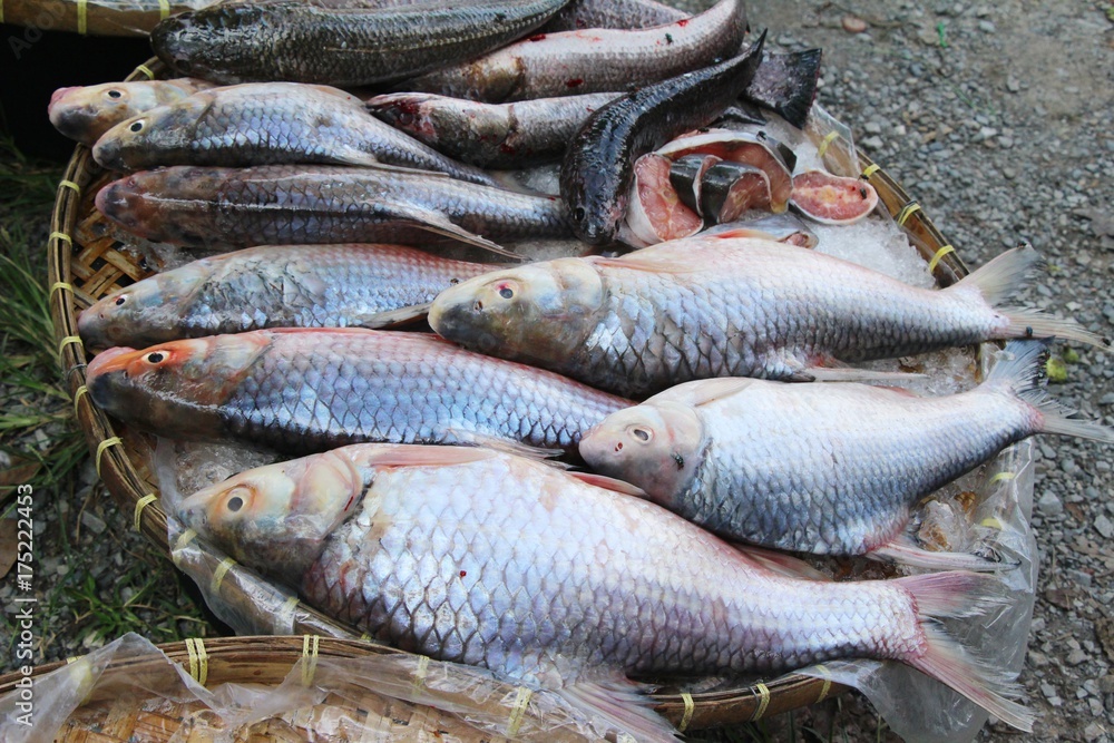 Obraz premium Fresh fish for cooking in the market