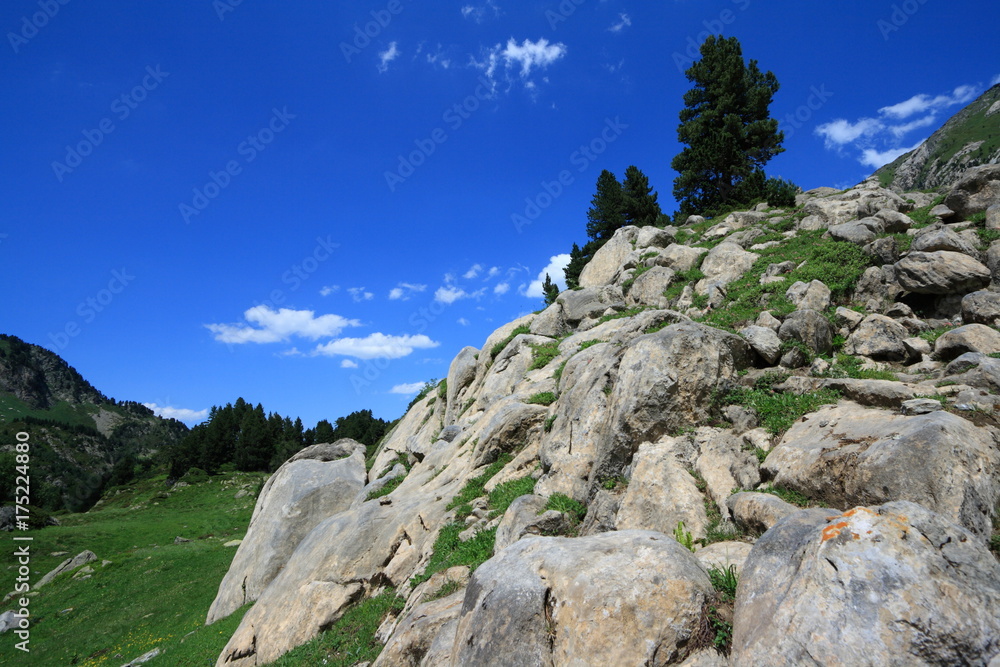 Fototapeta premium mountain landscape in Pyrenees. Ariege in Occitanie. South of France