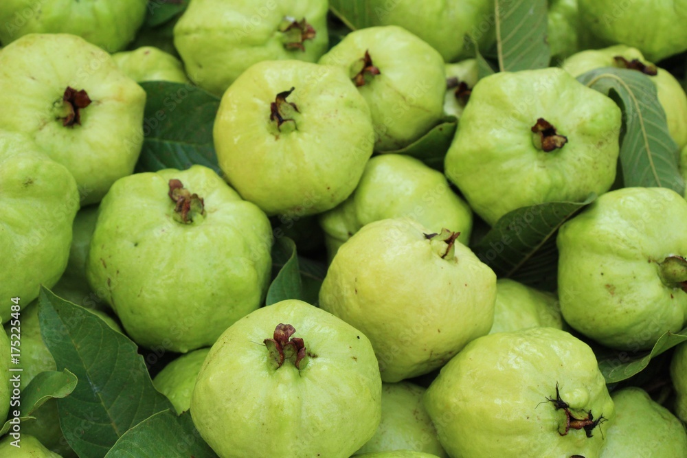 Guava fruit is delicious in the market Guava fruit is delicious in the market