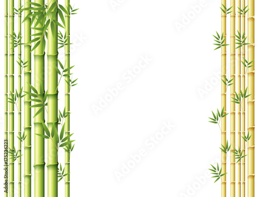 Background design with green and golden bamboo stems