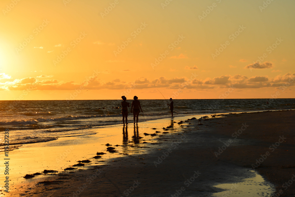 Fototapeta premium Sunset Silhoutte