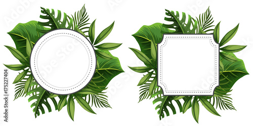 Two frame template with green leaves