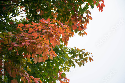The Sign of Autum photo