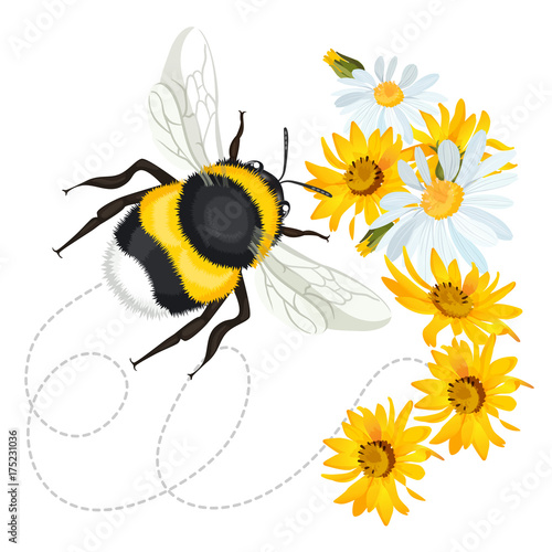 Bumblebee leaves trace swirled line on background with flowers