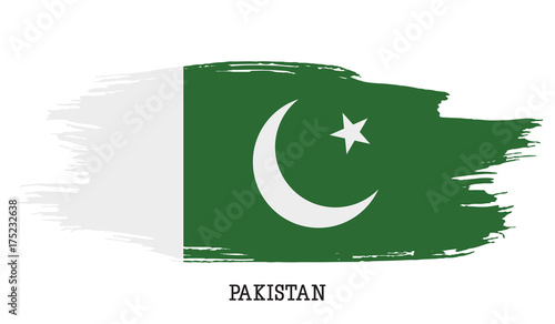 Pakistan flag vector grunge paint stroke  