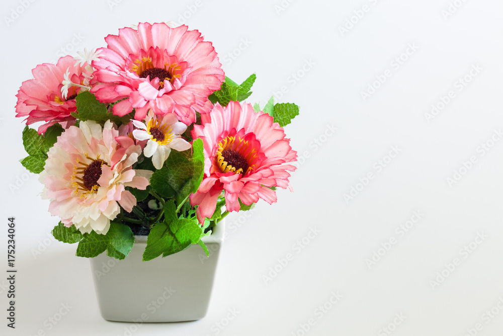 Vase of flowers on a white background.