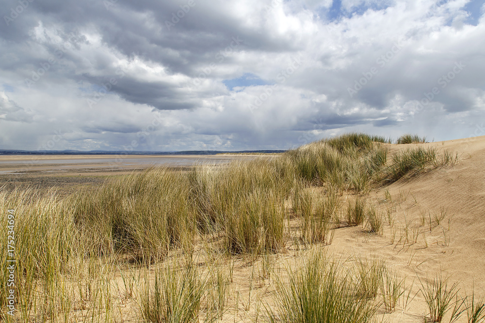 Dune grasses on a deserted beach in Wales