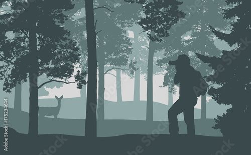 Horizontal view of a landscape in a forest with a man photographing a deer standing among trees