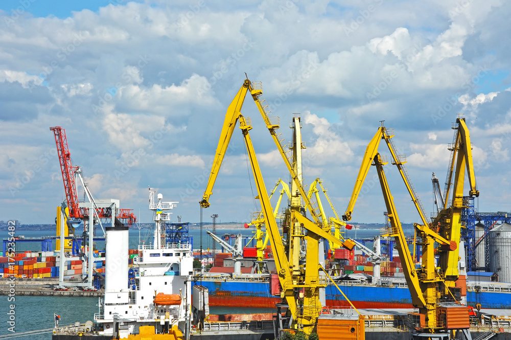 Bulk cargo ship under port crane