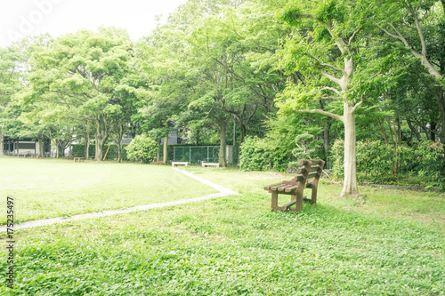 ベンチのある風景 柿田川公園