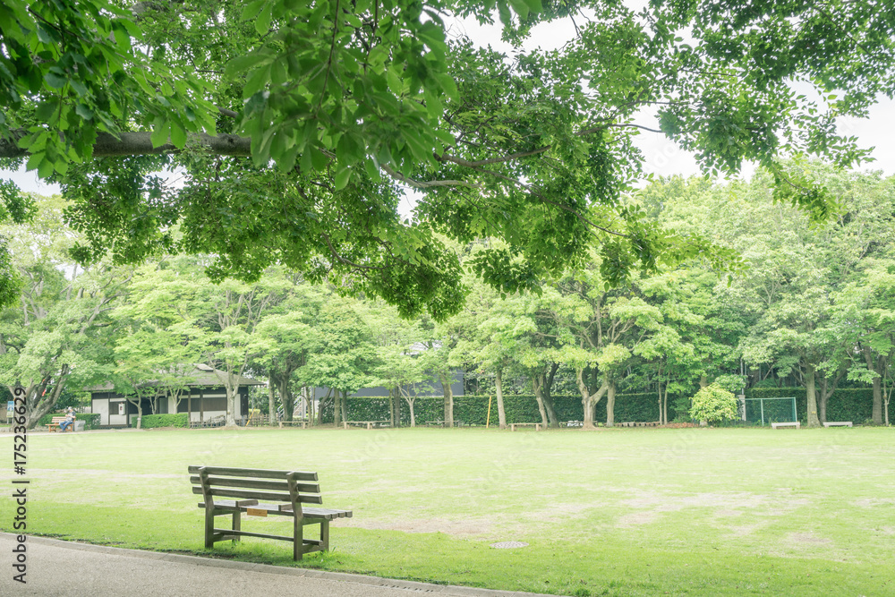 ベンチのある風景　柿田川公園