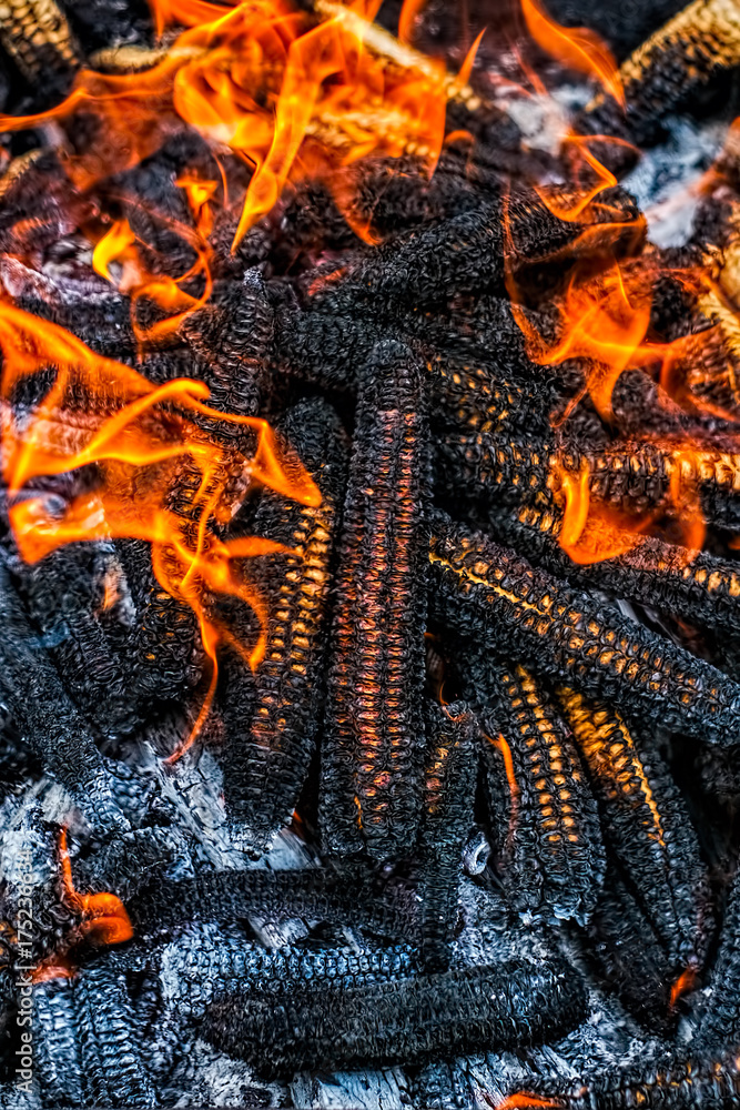 1000_F_175236634_ajrCxlcY14nkTBabXP52fl8