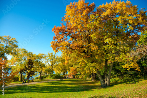 Colorful Autumn in Park, Toronto, Ontario, Canada