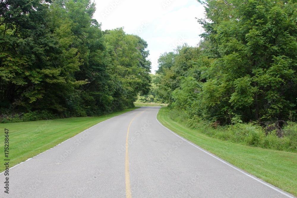 Fototapeta premium The empty park road in the tree area.