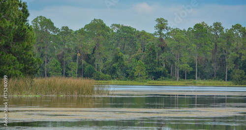 The view of Walsingham Lake at Walsingham Park photo