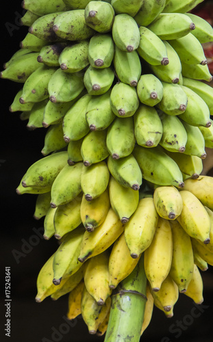 Green bananas