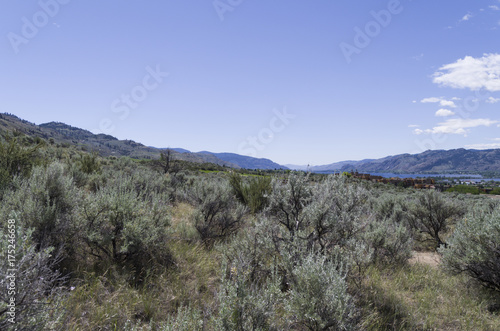 Sonoran Desert Landscape with Osoyoos Lake in the distant background.