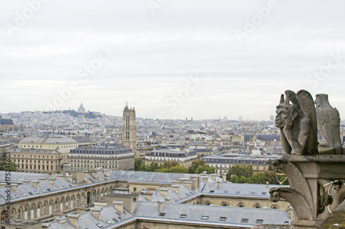 Notre-Dame de Paris © piola1