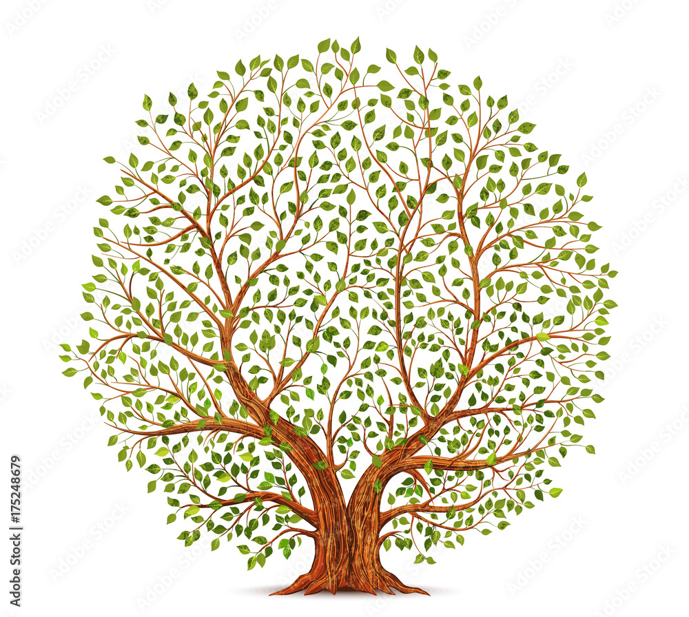 Stara ilustracja wektorowa drzewa <span>plik: #175248679 | autor: yayasya</span>