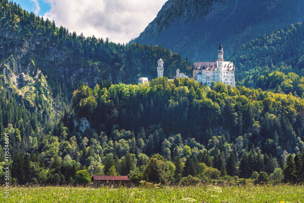 Märchenschloss Neuschwanstein auf dem Berg umgeben von grünem Wald mit einer Holzbank im Vordergrund