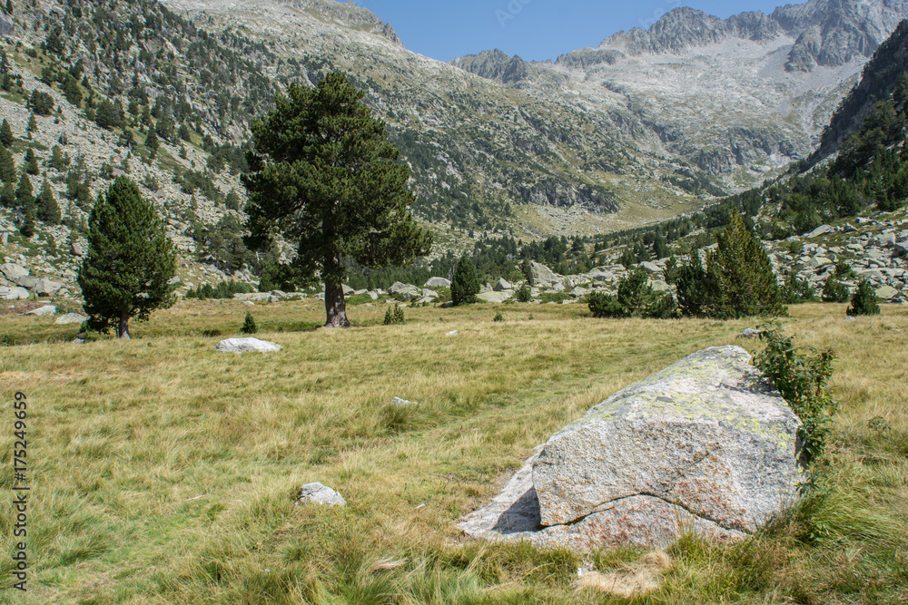 landscape in pyrenees