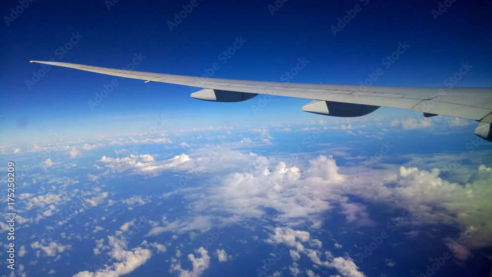 Fototapeta premium Flight