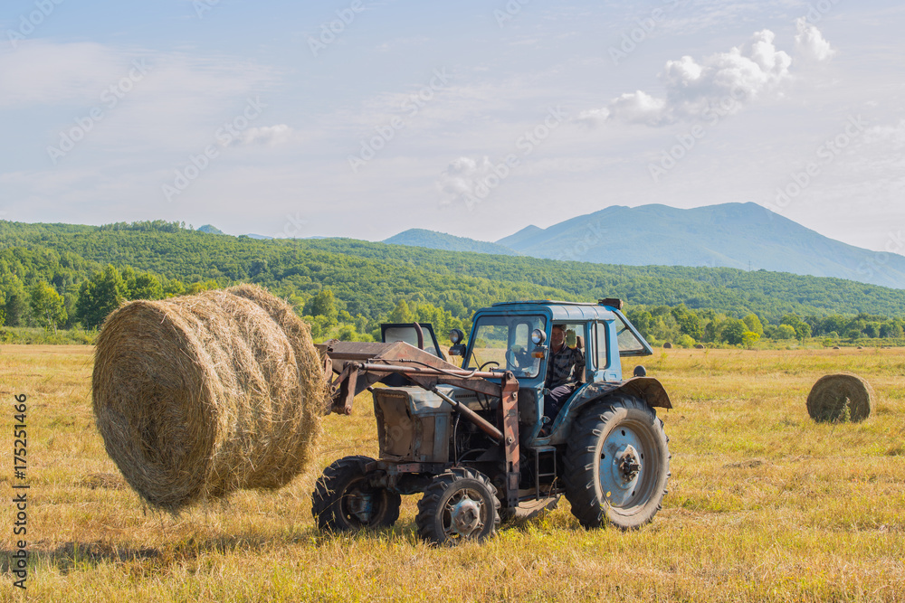Hay cleaning. The tractor with the lift assemble in a field the baled hay in rolls Hay cleaning. The tractor with the lift assemble in a field the baled hay in rolls