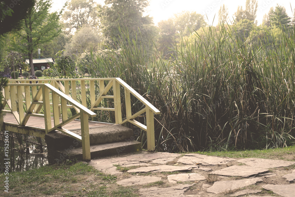 Small bridge surrounded by greenery. Small bridge surrounded by greenery.