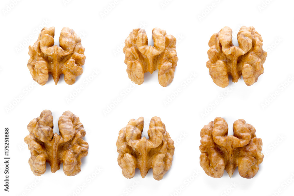 shelled walnuts shelled walnuts