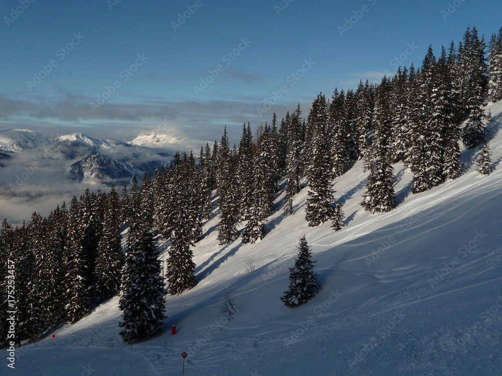Alpen, Alpbachtal, Tirol, Ski, Winter, Wald, Bäume, Piste