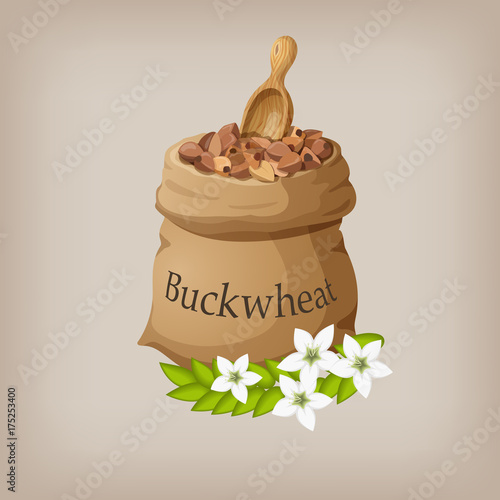 Buckwheat in the bag. Vector illustration