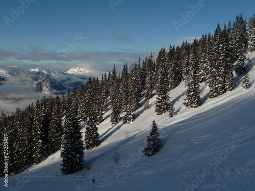 Alpen, Alpbachtal, Tirol, Ski, Winter, Wald, Bäume, Piste