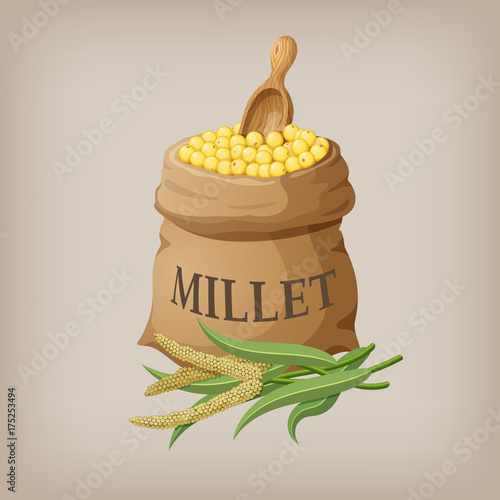 An image of raw yellow millets in a bag. Vector illustration