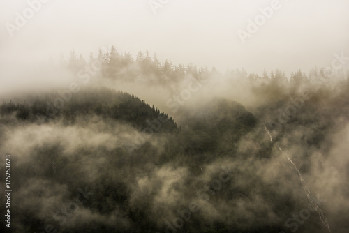 Fototapeta Mgła pokrywająca górskie lasy