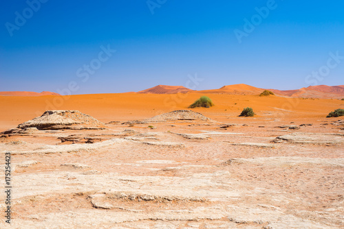 The scenic Sossusvlei and Deadvlei, clay and salt pan surrounded by majestic sand dunes. Namib Naukluft National Park, main visitor attraction and travel destination in Namibia.